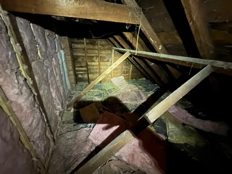 Existing Etobicoke attic with wood roof framing and batt insulation