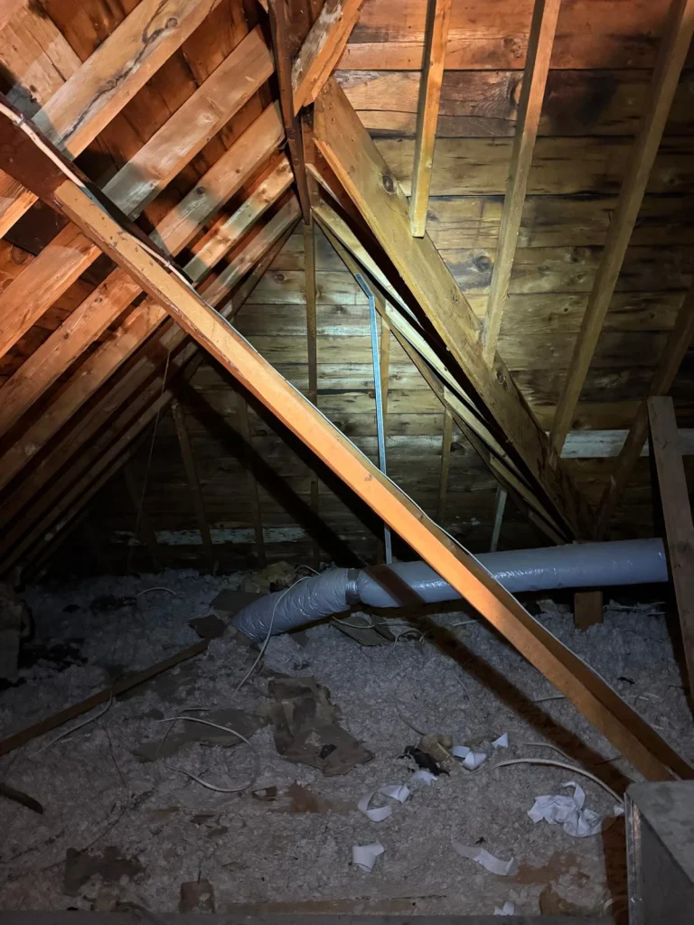 Existing Toronto attic with wood rafters, collar ties and loose-fill insulation